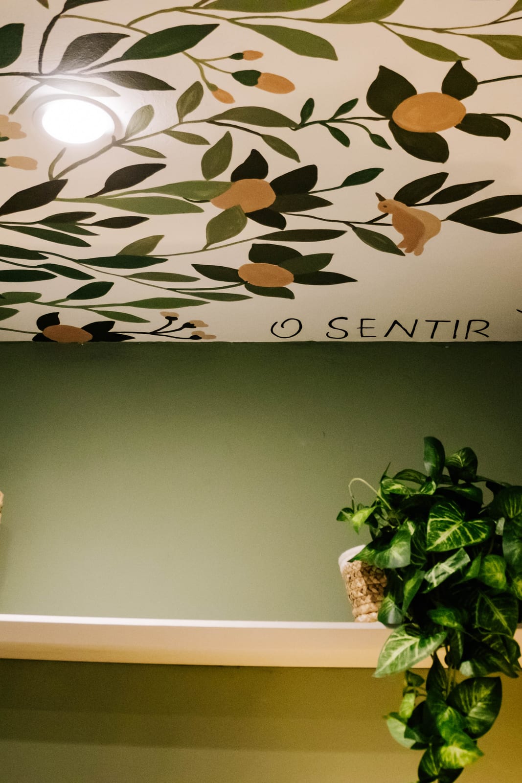 Detalhe decorativo do consultório: mural ilustrado na parede e no teto, prateleira com planta